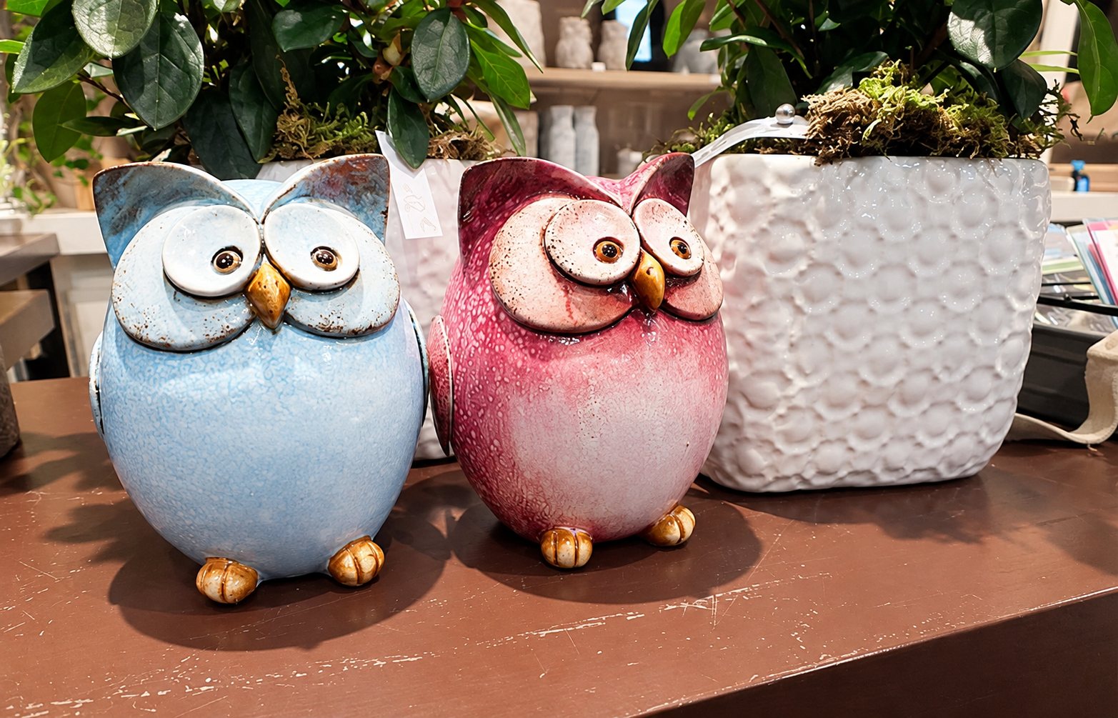 Deux chouettes en céramique, l'une bleu clair et l'autre rose, posées sur un comptoir brun à côté d'un grand pot blanc texturé contenant une plante.