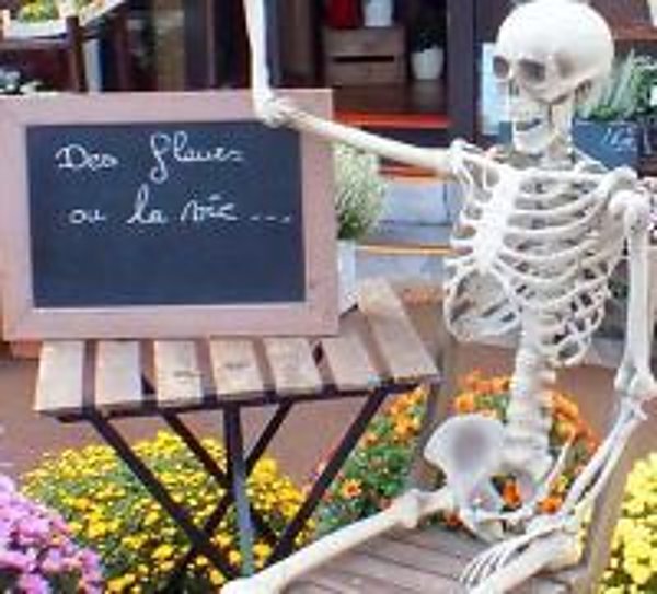 Un squelette décoratif posé sur une ardoise, entouré de fleurs, devant la boutique